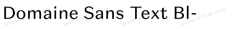 Domaine Sans Text Bl字体转换